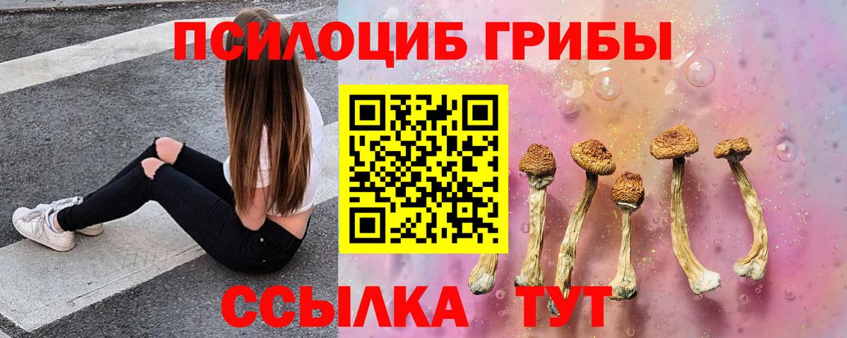 Псилоцибиновые грибы Magic Shrooms Вышний Волочёк